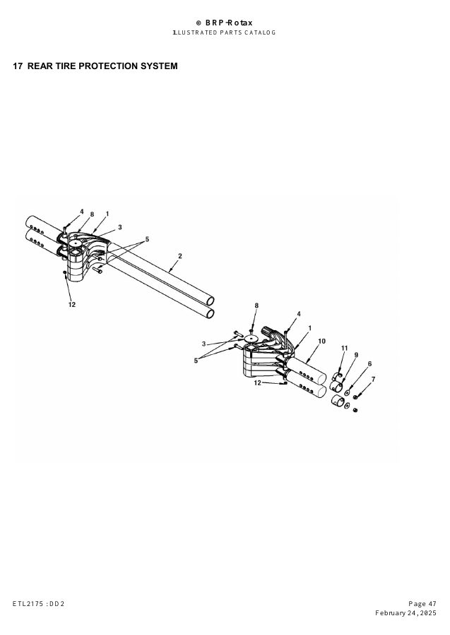 ROTAX DD2 - REAR TIRE PROTECTION SYSTEM