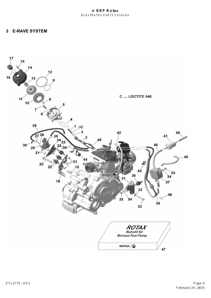 ROTAX DD2 - E-RAVE SYSTEM