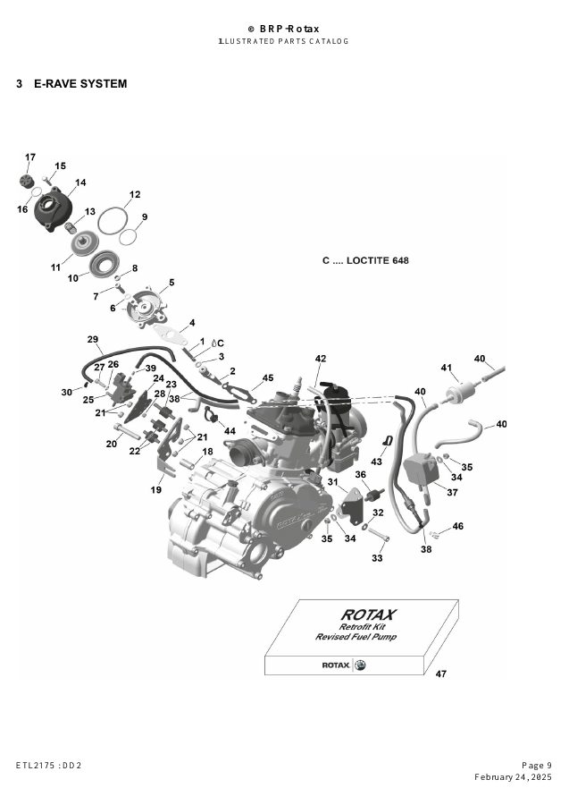ROTAX DD2 - EXHAUST SYSTEM