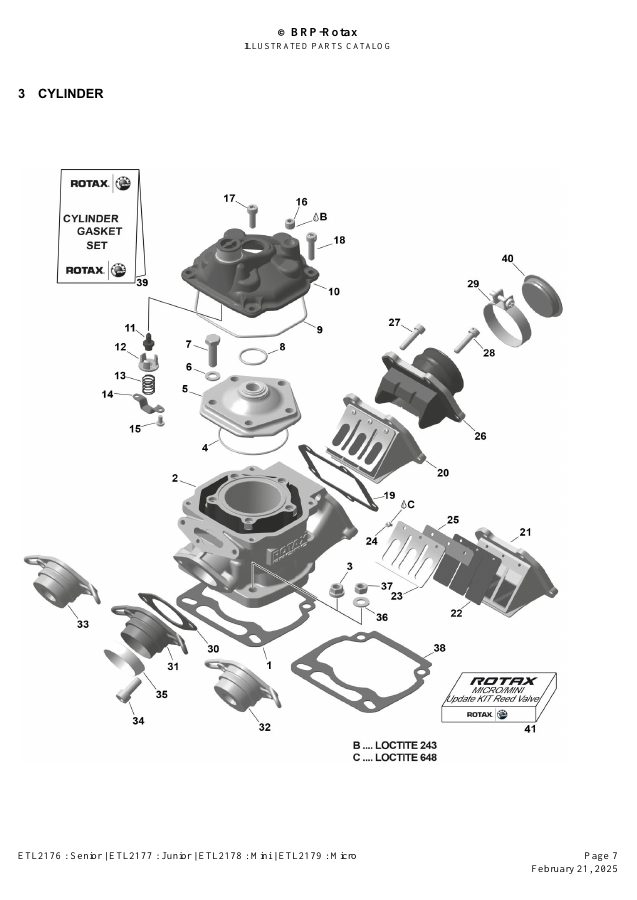 ROTAX MAX EVO - CYLINDER