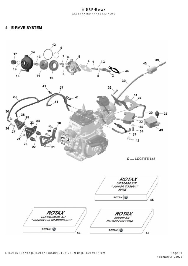 ROTAX MAX EVO - E-RAVE SYSTEM